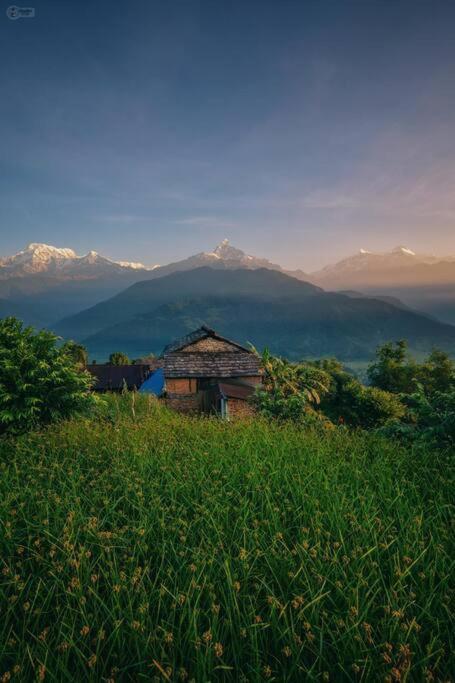 Annapurna Eco Village ポカラ エクステリア 写真