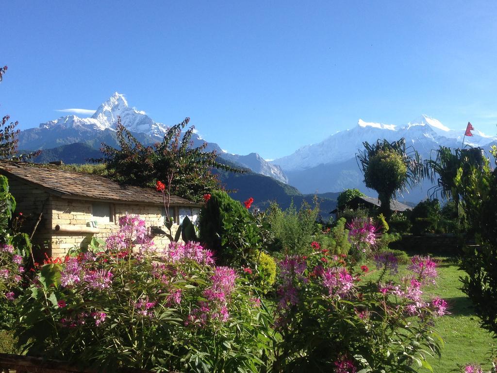 Annapurna Eco Village ポカラ エクステリア 写真