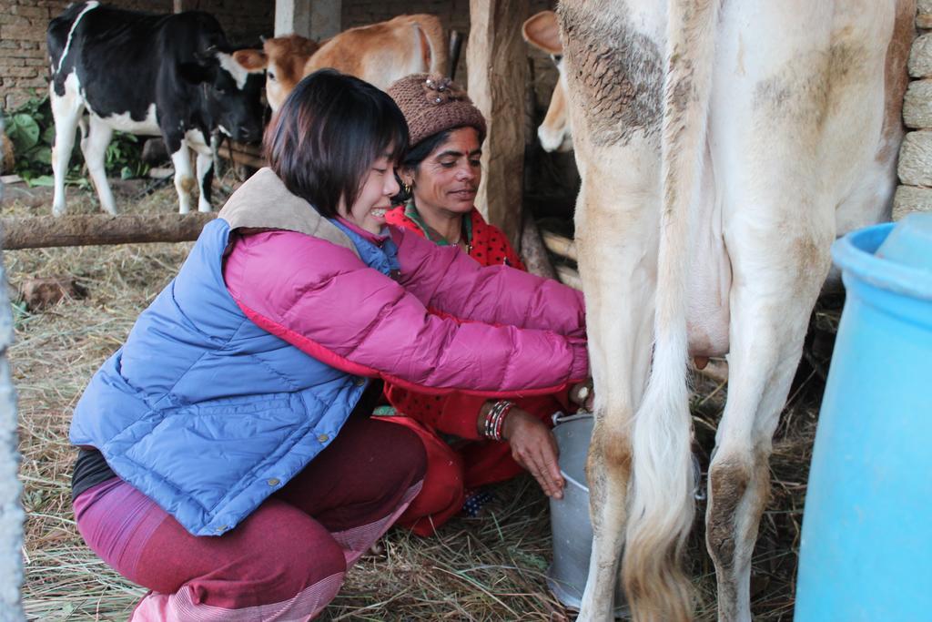Annapurna Eco Village ポカラ エクステリア 写真