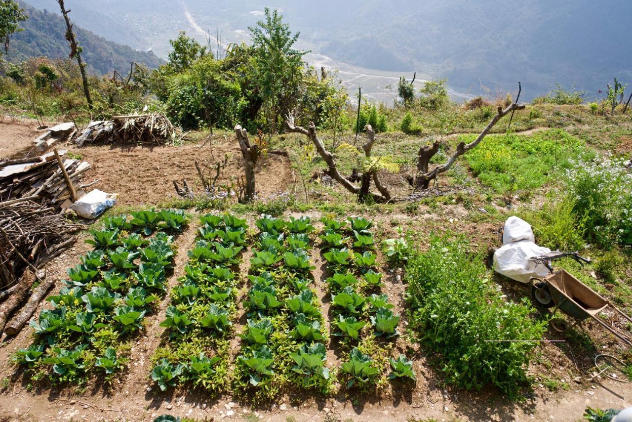 Annapurna Eco Village ポカラ エクステリア 写真